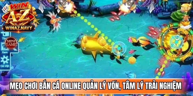 Mẹo chơi bắn cá online quản lý vốn, tâm lý trải nghiệm online