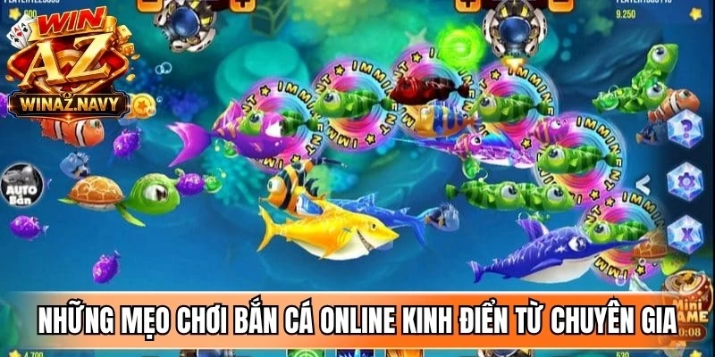 Những mẹo chơi bắn cá online kinh điển từ chuyên gia nên áp dụng